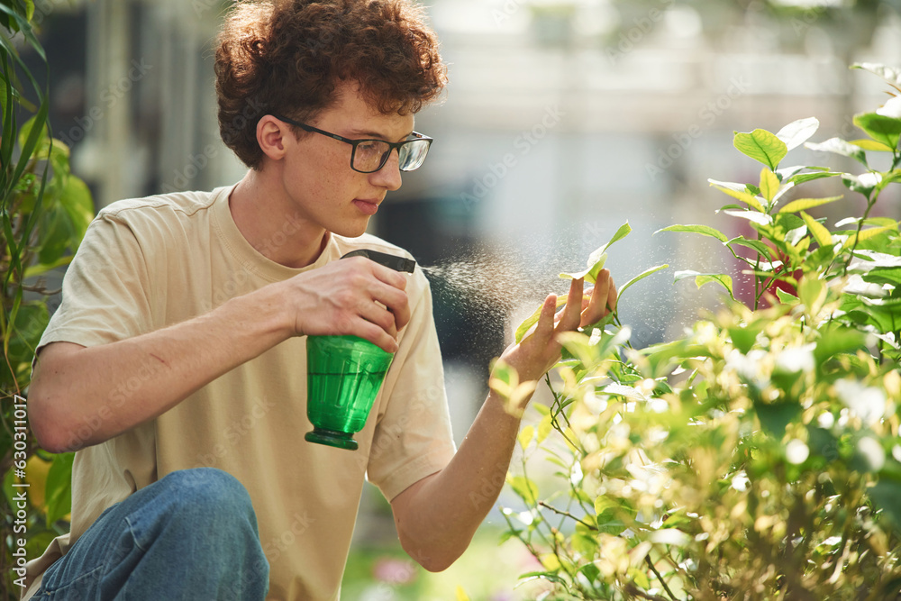 Fototapeta premium With green watering bottle. Young man with curly hair and in glasses is in greenhouse