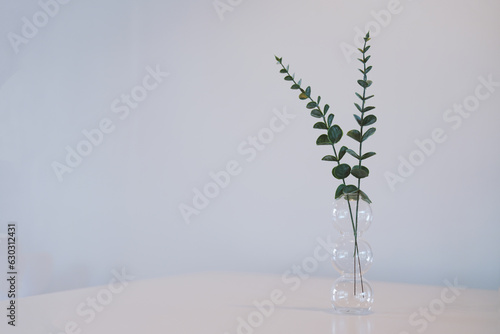 Green eucalyptus twigs in glass vase on wooden table on white background. Copy space.