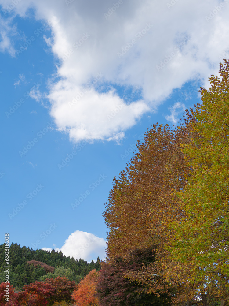 風景 000255 風景 000255