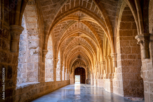 Cloister of the Monasterio de Piedra in gothic style in Zaragoza, Aragon, Spain photo