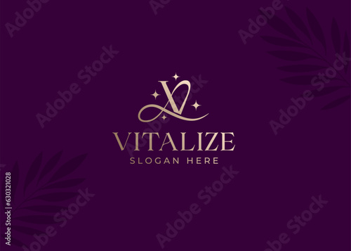 Luxury Minimalist V Letter Logo design vector