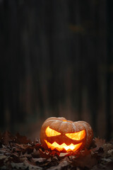 Spooky glowing Jack o lantern on autumn leaves in moody dark forest. Happy Halloween! Scary atmospheric halloween carved pumpkin in evening fall woods. Boo! Horror time. Copy space