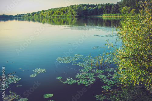 View of the lake and the reeds on the shore. © Munka