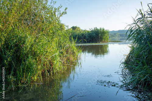 Fototapeta Naklejka Na Ścianę i Meble -  View of the lake and the reeds on the shore.