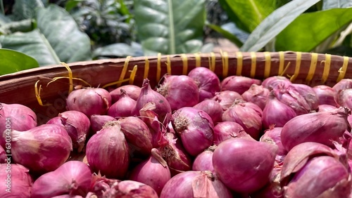 a stack of bulb onion in red or purple color in closed up and selective focus. Full frame and isolated. Onion is the most widely cultivated species for food ingredients.
