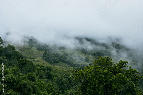 Green Season mountains in morning