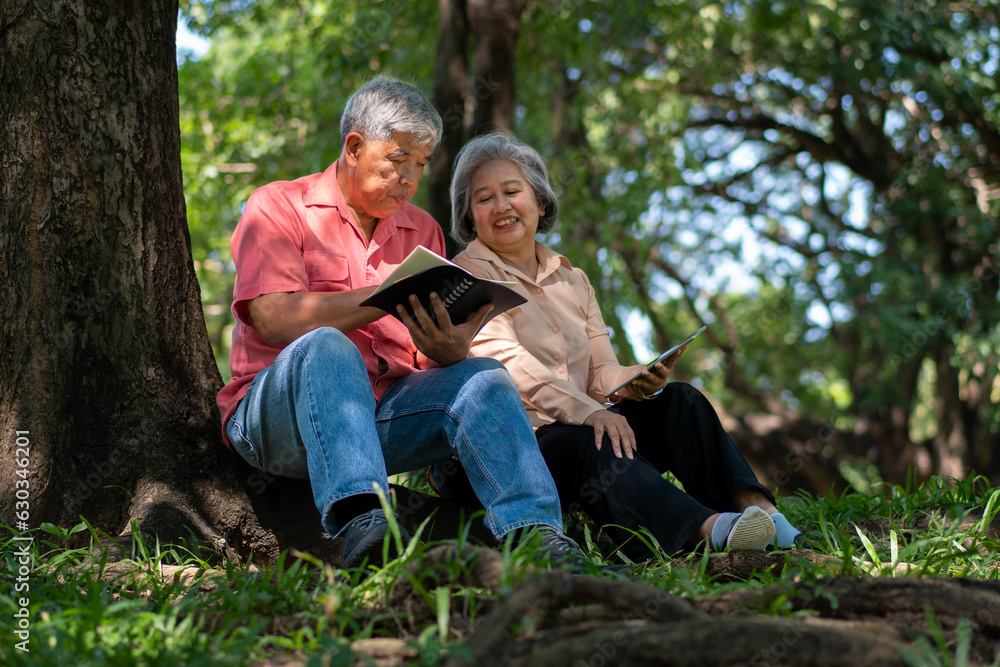 Fototapeta premium Happy old elderly couple spouses relaxing and sitting on a blanket in the park and sharing few precious memories. Senior couple having great time together on a picnic. concept of mature relationships