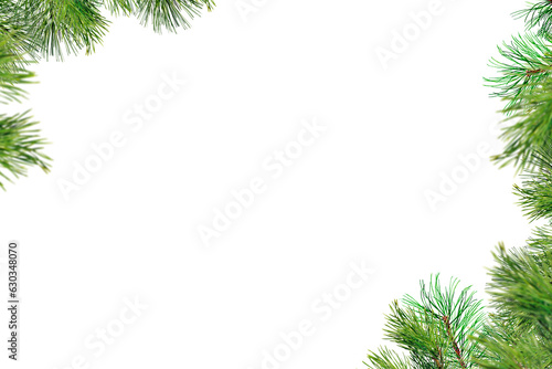 Spruce branch. Green fir. Realistic Christmas tree llustration for Xmas cards, New year party posters isolated Transparent png background.