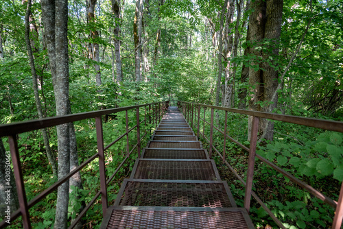 long stairs in the jungle in thailand