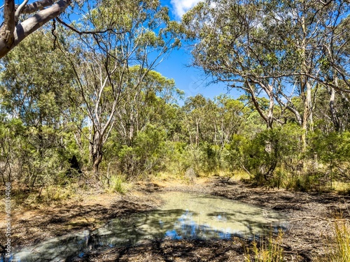 Muddy dam in Scrubland near Emmaville, Australia. photo