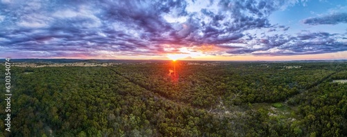 Aerial view of a stunning sunset over the bushland of New South Wales, Australia