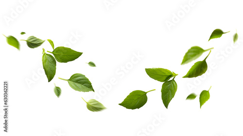 Fotografia seasoning herb fresh leaves basil isolated on transperent background