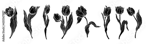 Set of silhouettes of flowers and buds of tulips.Vector graphics.
