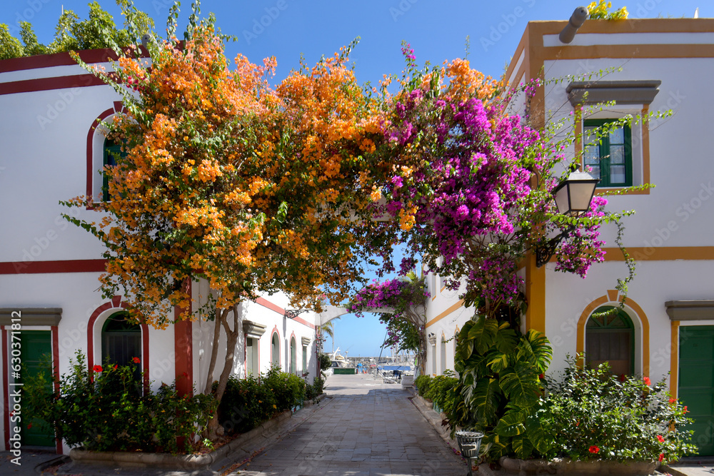 Gassen mit schönen Blumen in Puerto de Mogan / Insel Gran Canaria
