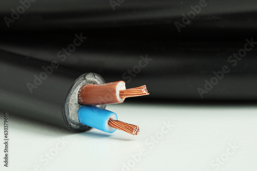 Two Core Stranded Insulated Copper Electrical Cable Closeup Macro View