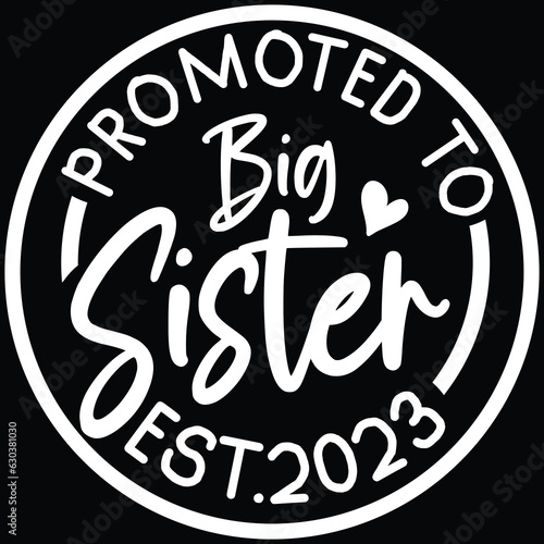 Promoted to big sister est. 2023