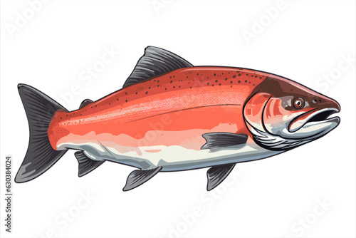 Alaskan salmon fish vector art still life painting flat illustration