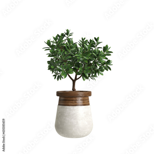 3d illustration of houseplants isolated on transparent background