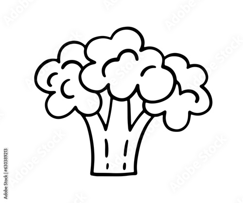 Broccoli Line Icon Vector Doodle Shape