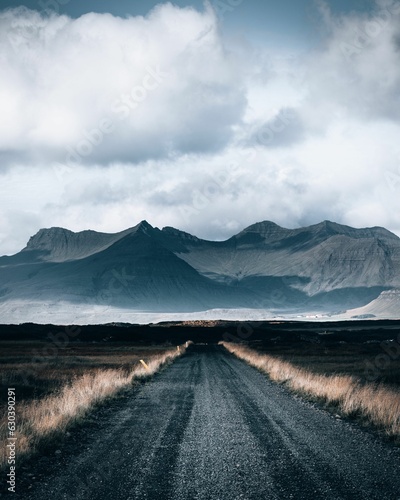 Vertical shot of a gravelroad leading towards the scenic mountains in the majestic Iceland photo