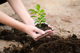 Close up woman hand holding plant , ecological sustainable , save earth concept