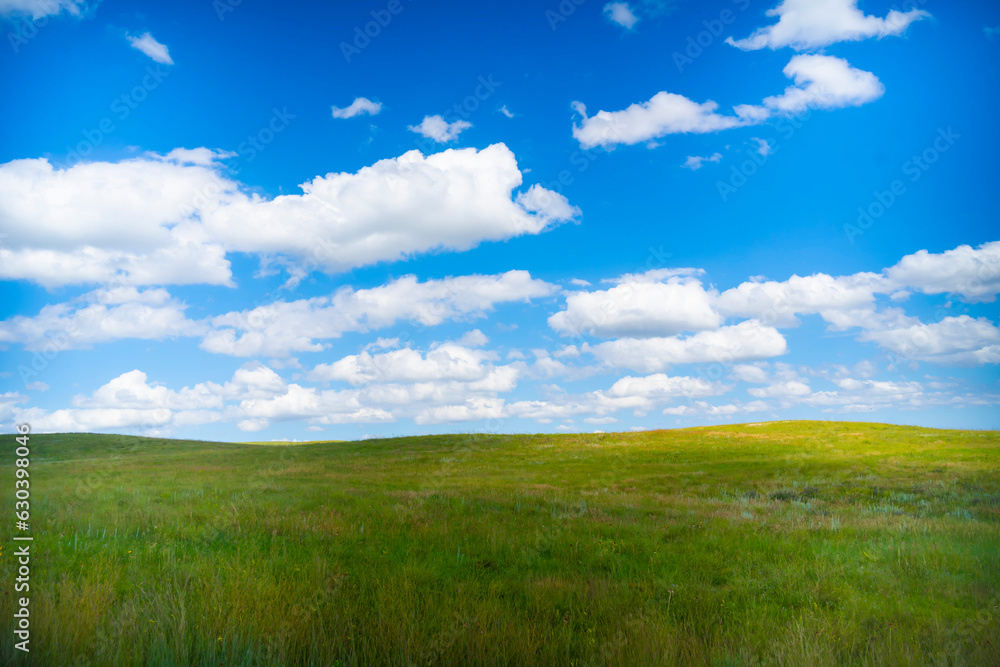 Idyllic setting of green grass and blue cloudy sky