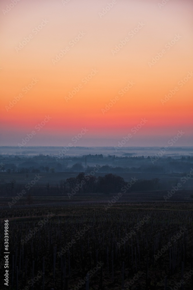 Sunset over the rural field in the mist ,vertical shot