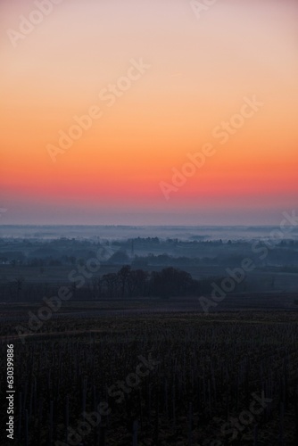 Sunset over the rural field in the mist ,vertical shot