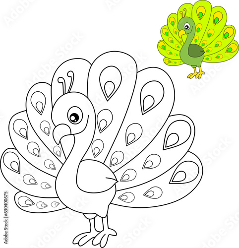 Peacock cartoon bird for coloring book page 