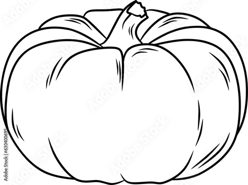 pumpkin line art vector illustrations