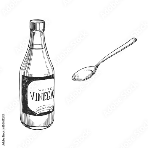 Vector hand-drawn illustration of bottle of vinegar and spoon isolated on white. Sketch with acetic acid for recipe design.