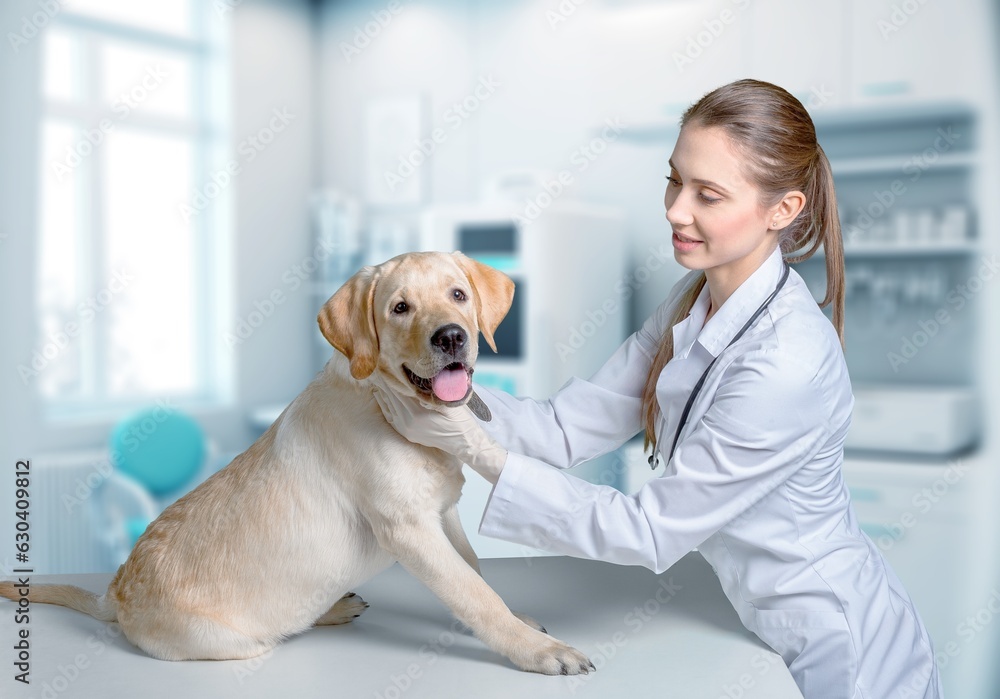 Beautiful Veterinarian Petting a Dog in Modern Clinic, AI generated image