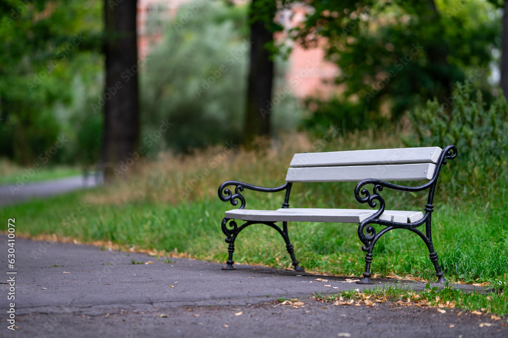 An old, decorative, stylish bench in the park. A white bench for relaxation and rest in the lap of nature An old, decorative, stylish bench in the park. A white bench for relaxation and rest in the lap of nature