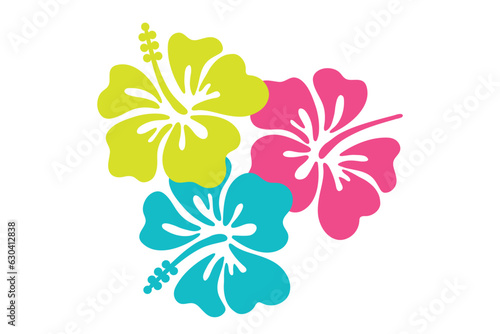 Hibiscus flower
