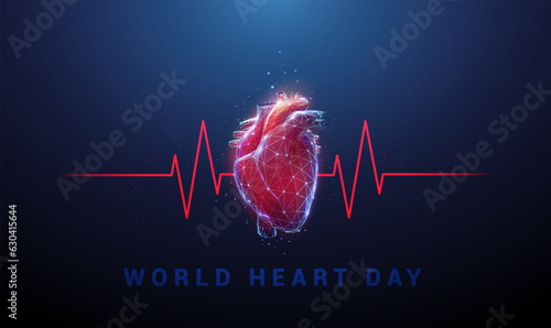 Human heart with red cardio puls line