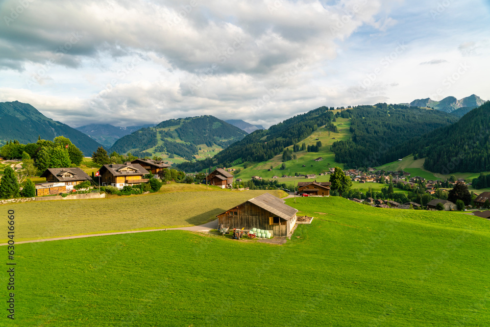 swiss countryside with green fields, houses and swiss Alps