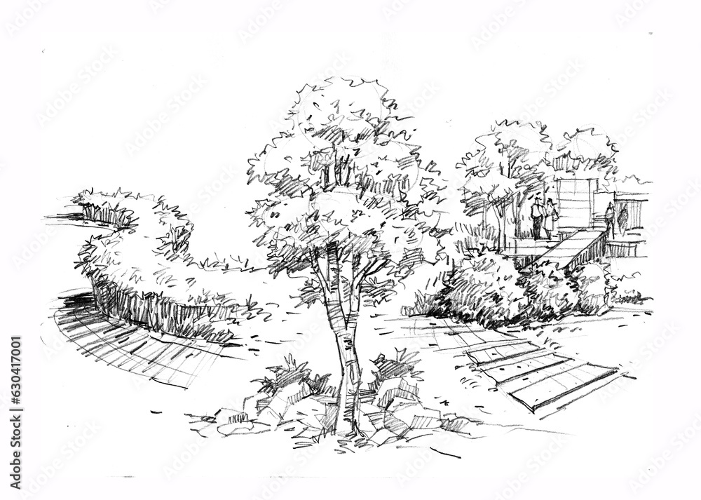 trees in the park pencil drawing for card illustration study trees in the park pencil drawing for card illustration study