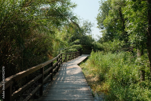 Pathway to Serenity: Wooden Walkway Amid Greenery in Krka National Park