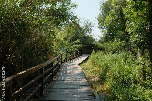 Pathway to Serenity  Wooden Walkway Amid Greenery in Krka National Park
