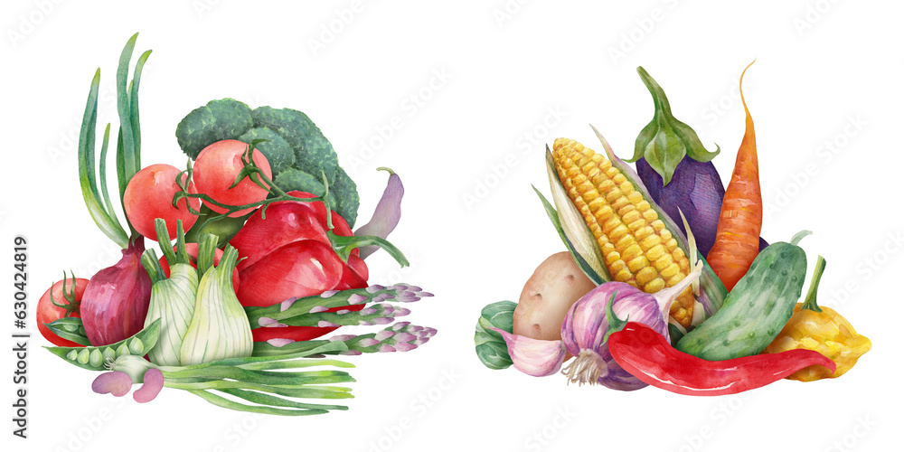 Vegetable harvest compositions. Various colorful autumn vegetable ingredients hand drawn in watercolor illustrations for postcard, culinary blog, poster, banner, social media, recipes. Vegetable harvest compositions. Various colorful autumn vegetable ingredients hand drawn in watercolor illustrations for postcard, culinary blog, poster, banner, social media, recipes.