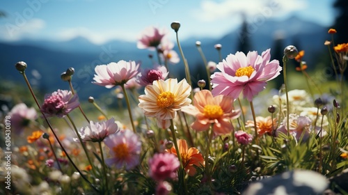 Wild flowers on a flower meadow in spring. © 121icons