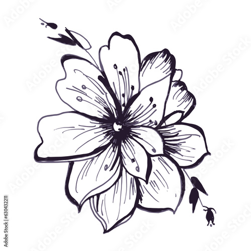 Flower hand drawn in black outline