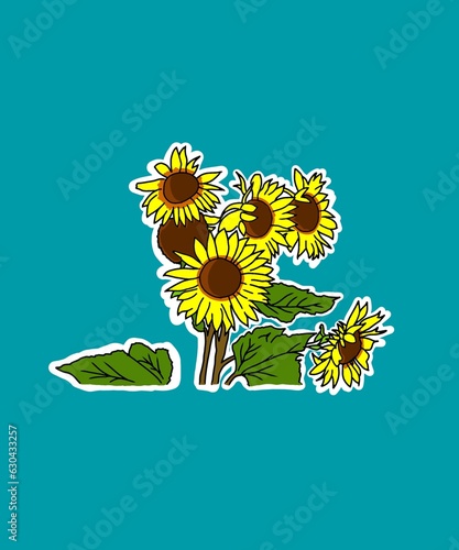 Fototapeta Naklejka Na Ścianę i Meble -  Sunflower illustration, a combination of brown color with yellow flowers and green leaves that are very pleasing to the eye, in the background with turquoise blue color, can be used for social media 