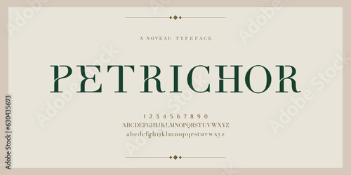 Petrichor Elegan San Serif Font Beautify Font