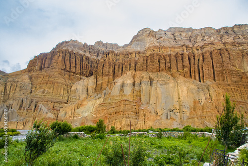 Vegetation and Flowers alongside Desert of Upper Mustang with Man Made Caves in Chhusang Village, Nepal