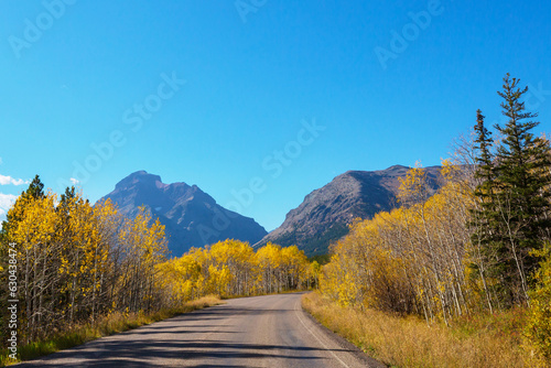 Autumn road