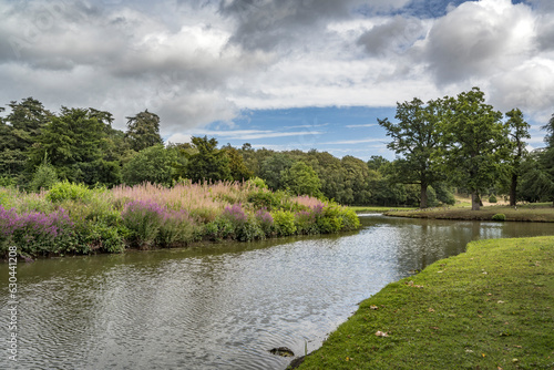 Blooming wild flowers at Painshill Cobham photo