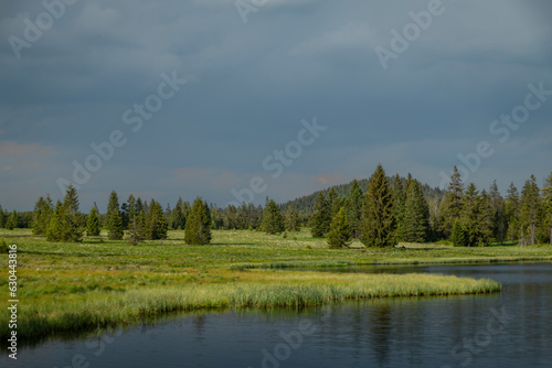 Mrtvy pond in Krusne mountains in north Bohemia in summer evening