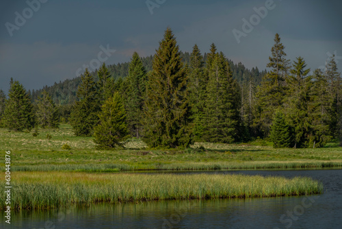 Mrtvy pond in Krusne mountains in north Bohemia in summer evening © luzkovyvagon.cz