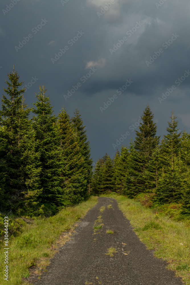 Path near Bozi Dar village in Krusne mountains before storm